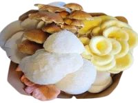 Chef Mix Supreme