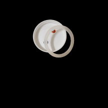 Liquid Culture Lids - Image 2