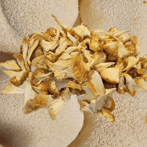 Premium Dry Lion's Mane Mushrooms