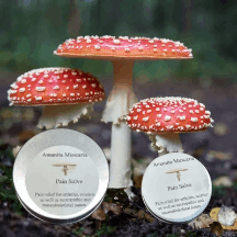 Amanita Muscaria Pain Salve
