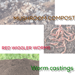 Vermicomposting Supplies