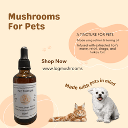 Mushrooms for Pets